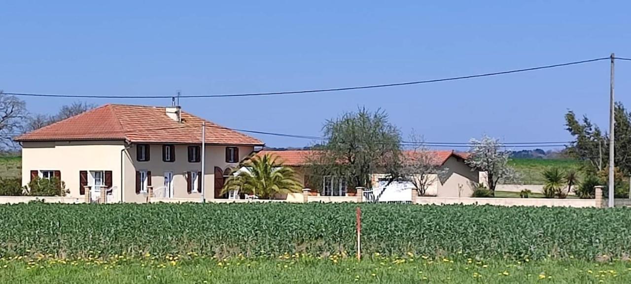 Le Domaine De Laurolie Hotel Gaujacq Exterior photo