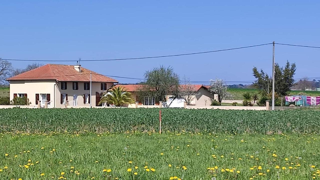 Le Domaine De Laurolie Hotel Gaujacq Exterior photo